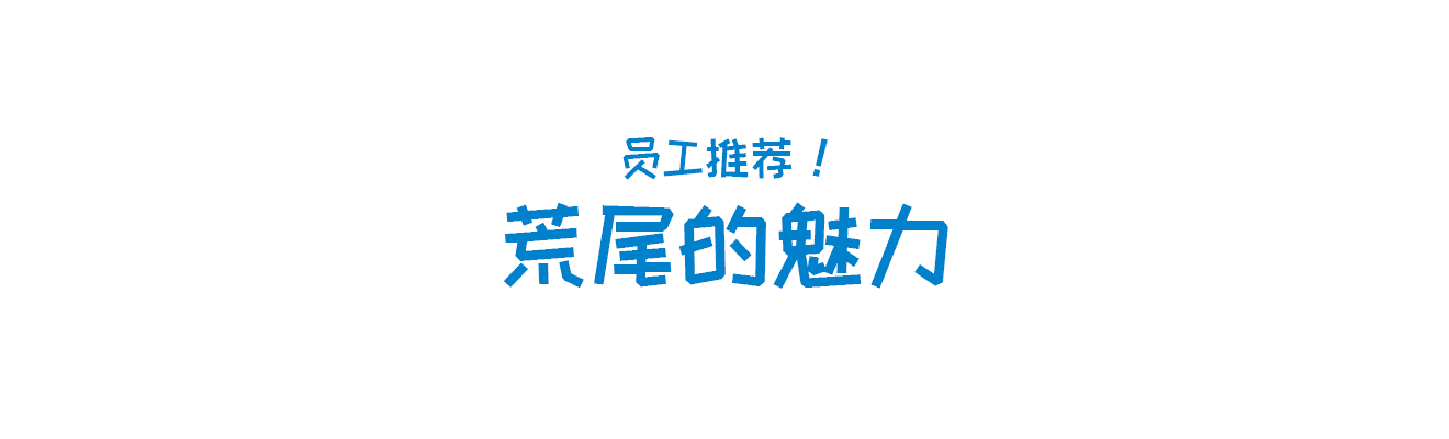 员工推荐！阿拉奥的魅力